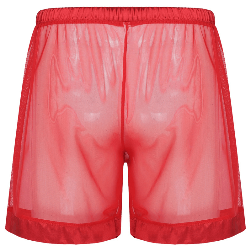 Men's See-Through Nightwear / Lounge Mesh Boxer Shorts for Men / Male Sexy Underwear - EVE's SECRETS