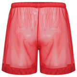 Men's See-Through Nightwear / Lounge Mesh Boxer Shorts for Men / Male Sexy Underwear - EVE's SECRETS