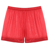 Men's See-Through Nightwear / Lounge Mesh Boxer Shorts for Men / Male Sexy Underwear - EVE's SECRETS