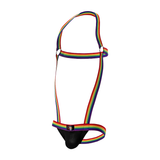 Men's Elastic Shoulder Strap Thong Bodysuit / Sexy Backless Suspender Jockstrap Underwear - EVE's SECRETS