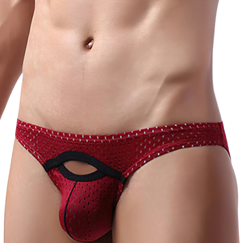 Men's Sexy Breathable U Pouch Underpants / Comfortable Low Waist Briefs / Fashion Male Underwear - EVE's SECRETS