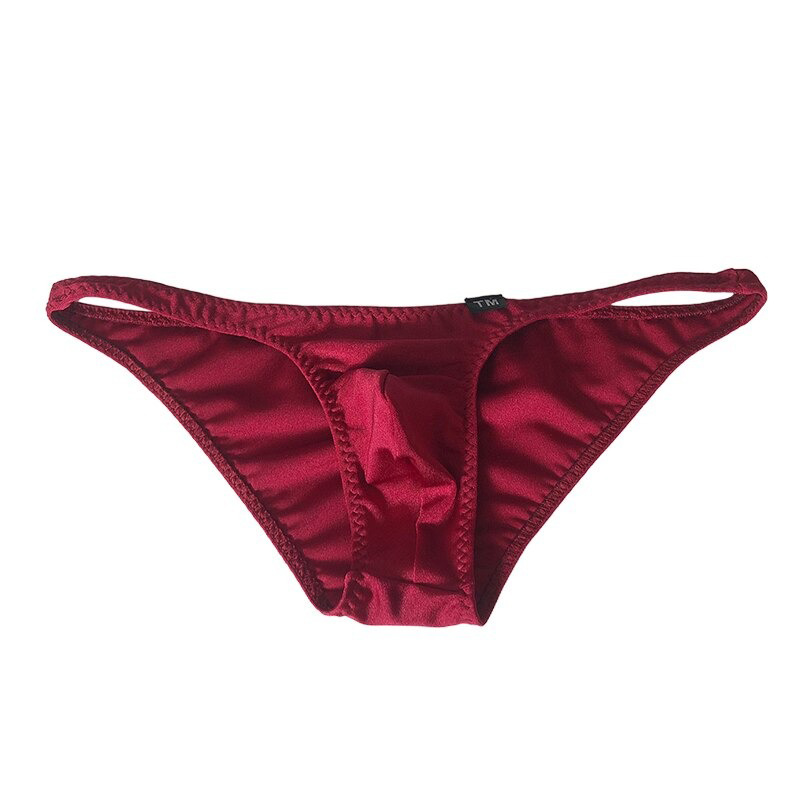 Men's Sexy Briefs with Low Waist / Erotic Underwear with Penis Pouch / Elastic Male Panties - EVE's SECRETS