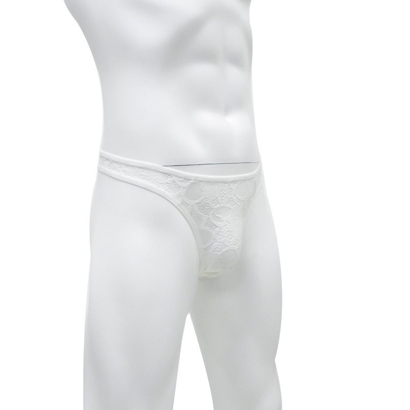 Men's Sexy Lace T-Back Panties / Male See-Through Thong / Erotic Underwear for Men - EVE's SECRETS