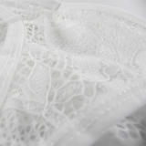 Men's Sexy Lace T-Back Panties / Male See-Through Thong / Erotic Underwear for Men - EVE's SECRETS