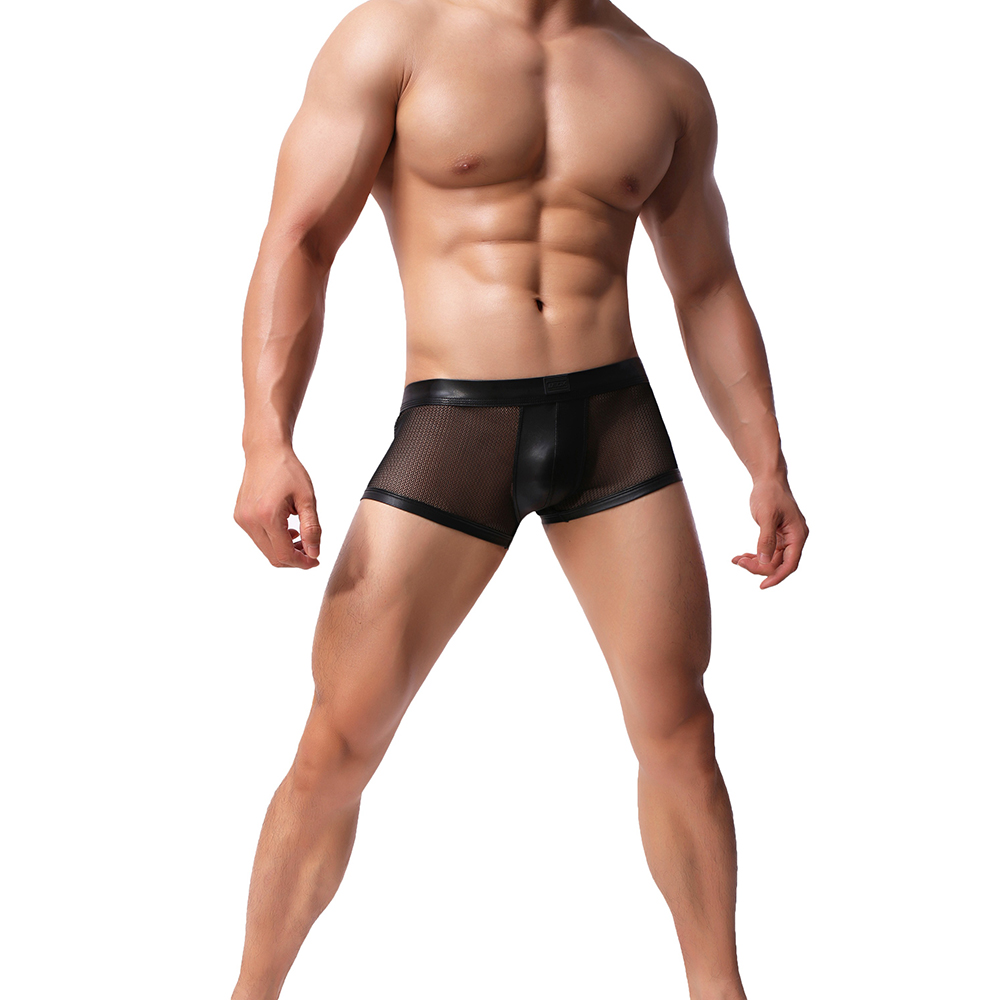 Men's Sexy Low Rise Boxers / Black Transparent Underwear for Men - EVE's SECRETS