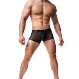 Men's Sexy Low Rise Boxers / Black Transparent Underwear for Men - EVE's SECRETS