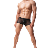 Men's Sexy Low Rise Boxers / Black Transparent Underwear for Men - EVE's SECRETS