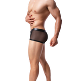 Men's Sexy Low Rise Boxers / Black Transparent Underwear for Men - EVE's SECRETS