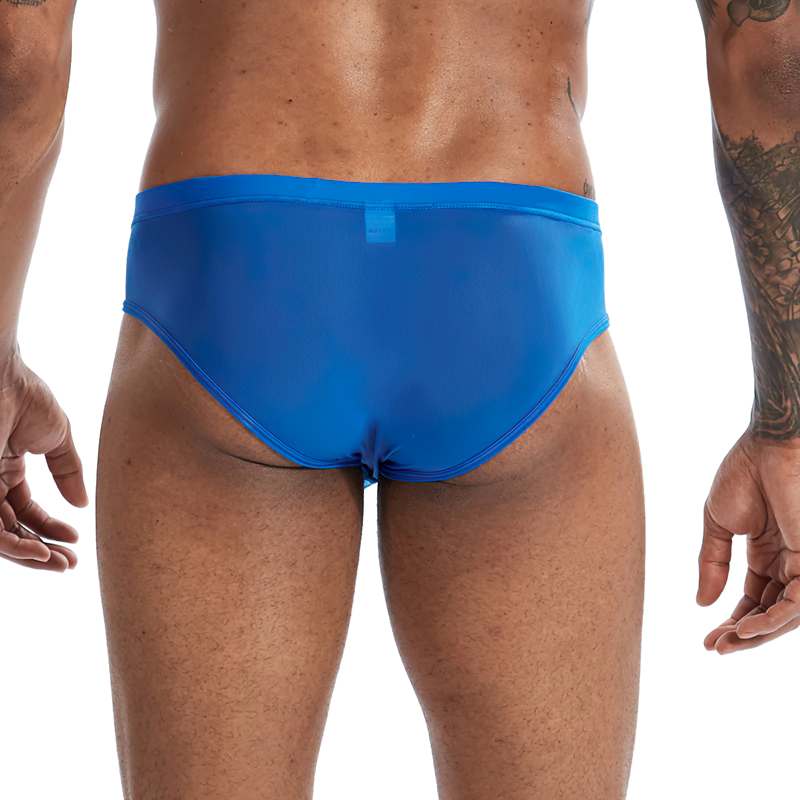 Men's Sexy Low Rise Ultra-Thin Underwear Panties / Male Penis Pouch Erotic Lingerie Apparel - EVE's SECRETS