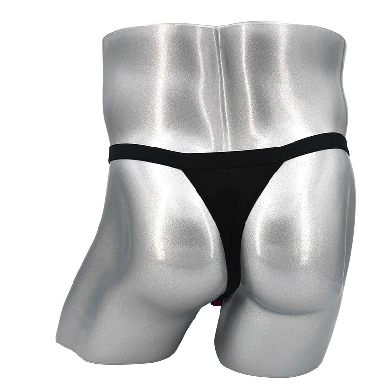 Men's Sexy Mesh Panties / Erotic Ultra-thin T-back Tanga / Сomfortable Male Underwear - EVE's SECRETS