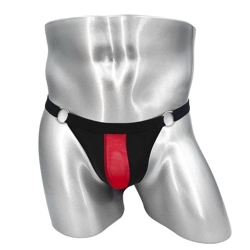 Men's Sexy Mesh Panties / Erotic Ultra-thin T-back Tanga / Сomfortable Male Underwear - EVE's SECRETS