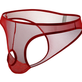 Men's Sexy Open-front Pouch Thongs / Mesh Stretchy Briefs / Male Erotic Underwear - EVE's SECRETS