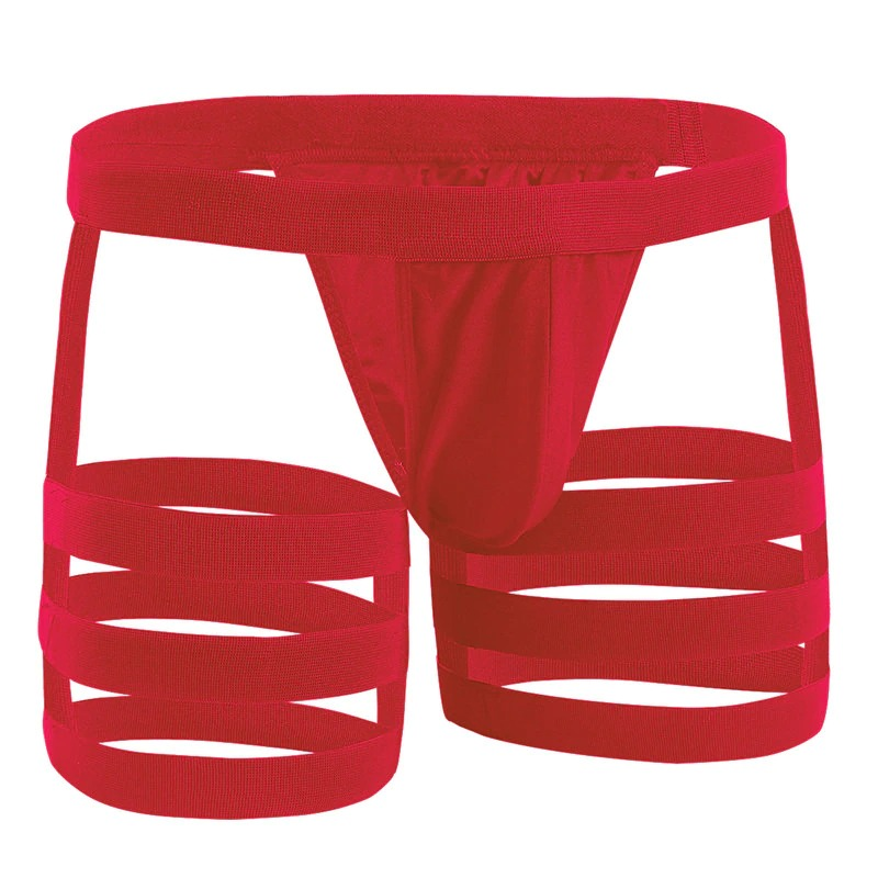 Men's Sexy Panties with Bulge Pouch and Garters / Erotic Gay Underpants Underwear - EVE's SECRETS
