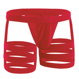 Men's Sexy Panties with Bulge Pouch and Garters / Erotic Gay Underpants Underwear - EVE's SECRETS