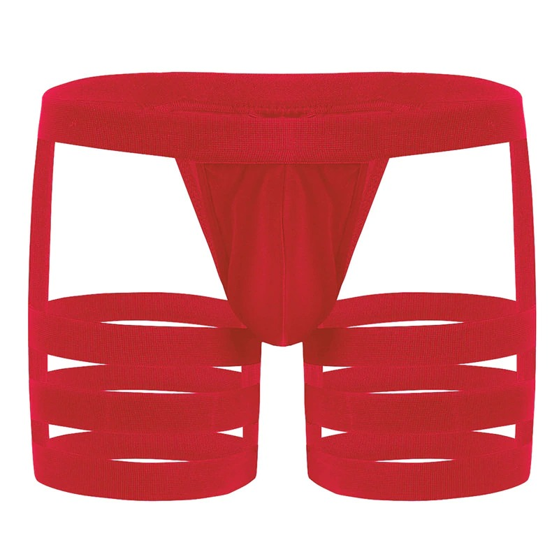 Men's Sexy Panties with Bulge Pouch and Garters / Erotic Gay Underpants Underwear - EVE's SECRETS
