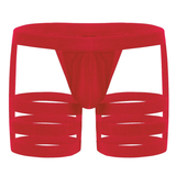 Men's Sexy Panties with Bulge Pouch and Garters / Erotic Gay Underpants Underwear - EVE's SECRETS