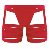 Men's Sexy Panties with Bulge Pouch and Garters / Erotic Gay Underpants Underwear - EVE's SECRETS