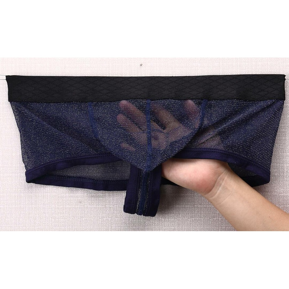 Men's Sexy Transparent Underwear / Ultra-Thin Low Waist Boxer Briefs / Male Mesh Panties - EVE's SECRETS