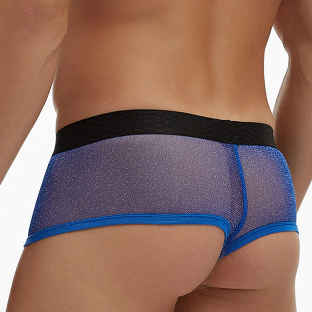 Men's Sexy Transparent Underwear / Ultra-Thin Low Waist Boxer Briefs / Male Mesh Panties - EVE's SECRETS