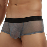 Men's Sexy Transparent Underwear / Ultra-Thin Low Waist Boxer Briefs / Male Mesh Panties - EVE's SECRETS