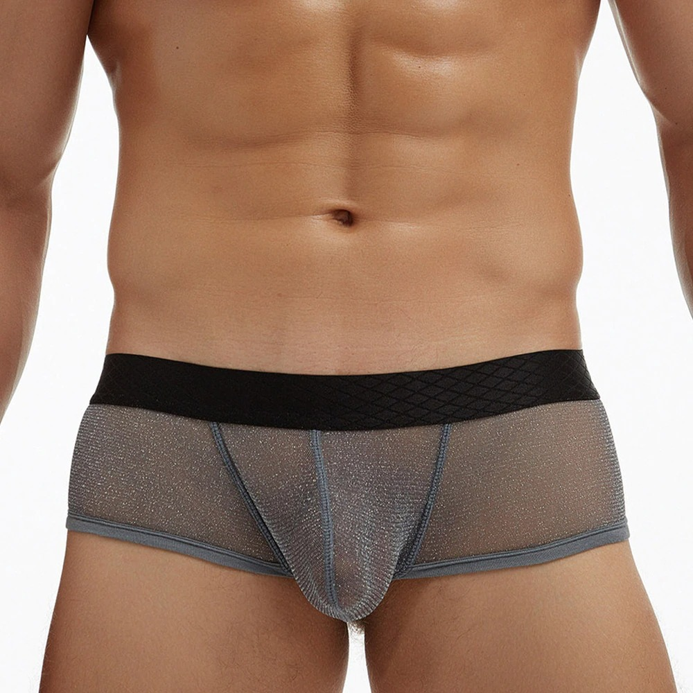Men's Sexy Transparent Underwear / Ultra-Thin Low Waist Boxer Briefs / Male Mesh Panties - EVE's SECRETS