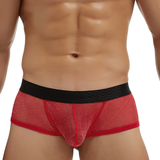 Men's Sexy Transparent Underwear / Ultra-Thin Low Waist Boxer Briefs / Male Mesh Panties - EVE's SECRETS