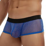 Men's Sexy Transparent Underwear / Ultra-Thin Low Waist Boxer Briefs / Male Mesh Panties - EVE's SECRETS