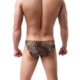 Low Waist Mini Panties / Erotic Leopard Male Underwear / Sexy Men's Penis Pouch - EVE's SECRETS