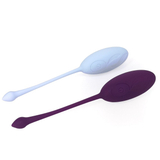 Mini Vibrator Eggs for Women / Adult Vaginal Balls with Remote Control - EVE's SECRETS