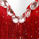 Push-Up Bra with Sequin Tassel Rhinestone / Sexy Women's Dancewear Bra - EVE's SECRETS