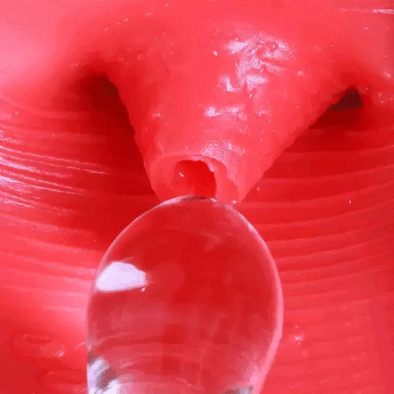 Real Pussy Vagina Sex Toy / Man's Masturbation Cup / Adult Realistic Licking Toy - EVE's SECRETS