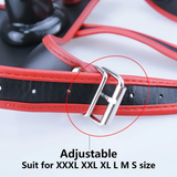 Realistic Dildo for Woman Strap-On / Adult Sex Toy for Ladies / Suction Cup Penis - EVE's SECRETS