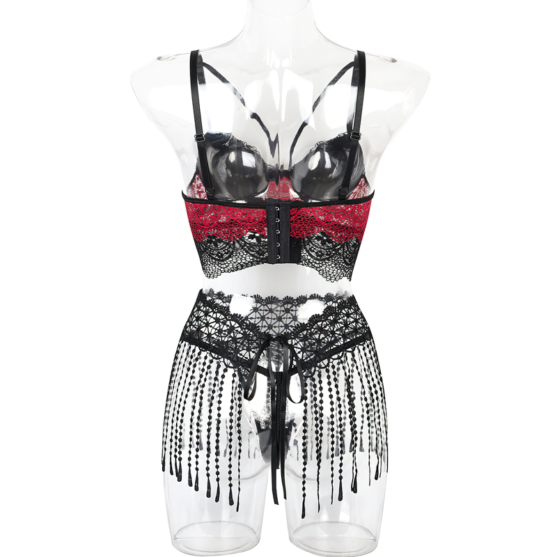 Sensual Erotic Female Lingerie Underwear / Sexy Women's Thongs Garters Lace Bra Lingerie - EVE's SECRETS