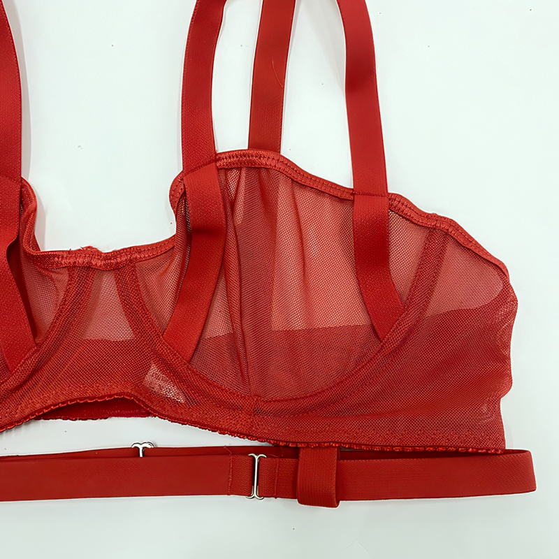 Sensual Transparent Erotic Lingerie Bandage / Intimate Female Bra Garters and Briefs - EVE's SECRETS