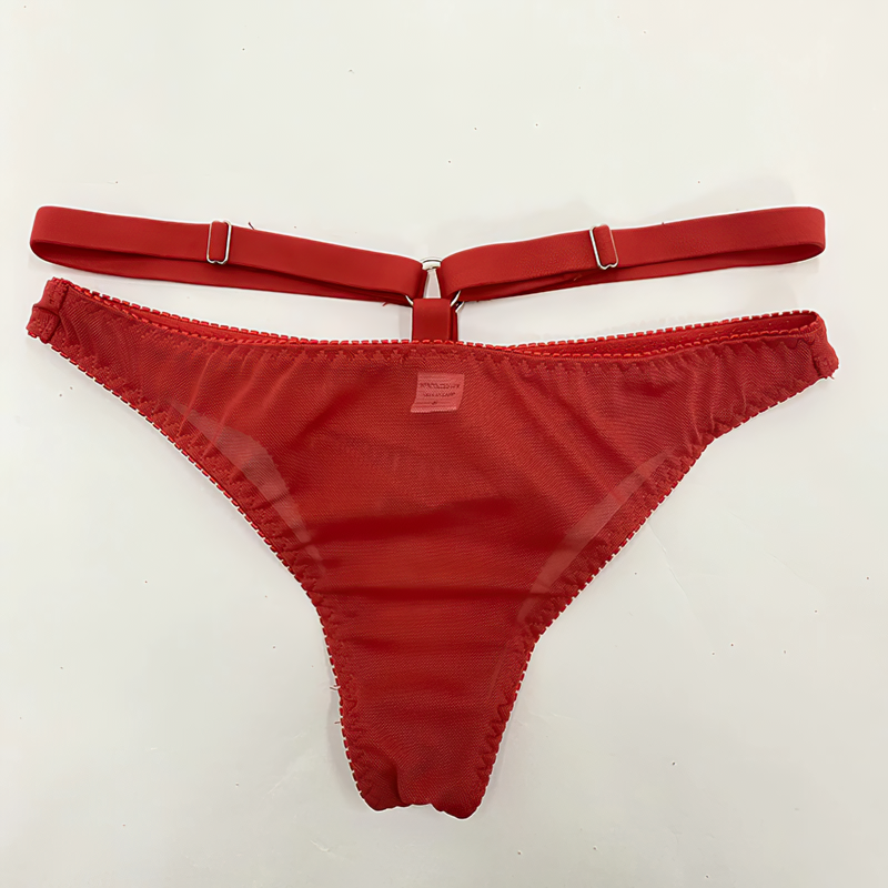 Sensual Transparent Erotic Lingerie Bandage / Intimate Female Bra Garters and Briefs - EVE's SECRETS