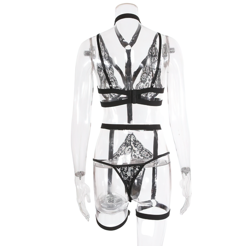 Sexy Lingerie Hollow Out Brief Sets With Garters / Women's Black Seamless Bra Set with Underwire - EVE's SECRETS
