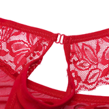 Sexy Men's Lace Transparent Underwear / See-Through Mesh Front Hole Lingerie Underpanties - EVE's SECRETS