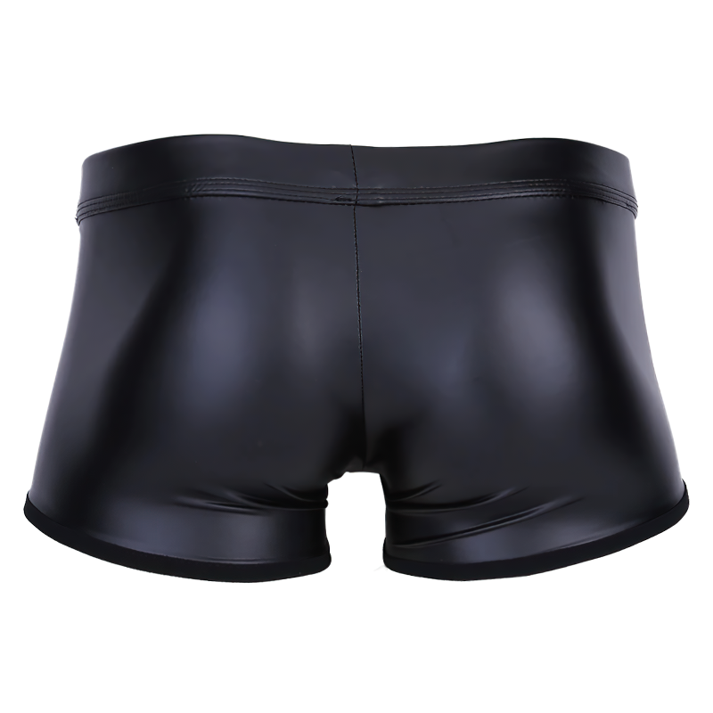 Sexy Men's Wetlook PU Leather Underwear / O-Ring Open Legs Hot Gay Panties - EVE's SECRETS