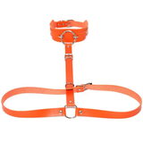 Sexy PU Leather Body Harness / Choker Collar With Metal Ring / Cosplay Erotic Accessories - EVE's SECRETS