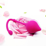Silicone Smart Ball Vibrator Kegel Balls / 3 Step Vaginal Massage Balls / Female Sex Toys - EVE's SECRETS