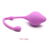 Silicone Smart Ball Vibrator Kegel Balls / 3 Step Vaginal Massage Balls / Female Sex Toys - EVE's SECRETS