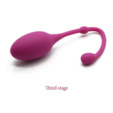 Silicone Smart Ball Vibrator Kegel Balls / 3 Step Vaginal Massage Balls / Female Sex Toys - EVE's SECRETS