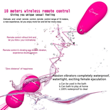 Female Wireless Vibrating Vaginal Ball / Remote Sex Toy Silicone Vibrating Eggs - EVE's SECRETS