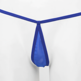 Transparent Bikini Set / Erotic Mesh Underwear / Sexy Female G-Strings / Slim Women's Brassiere - EVE's SECRETS