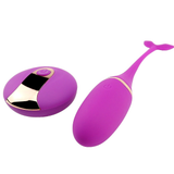 Vagina Vibrator with Remote Control / Vibrating Egg For G-spot Massage / Sex Toys for Women - EVE's SECRETS