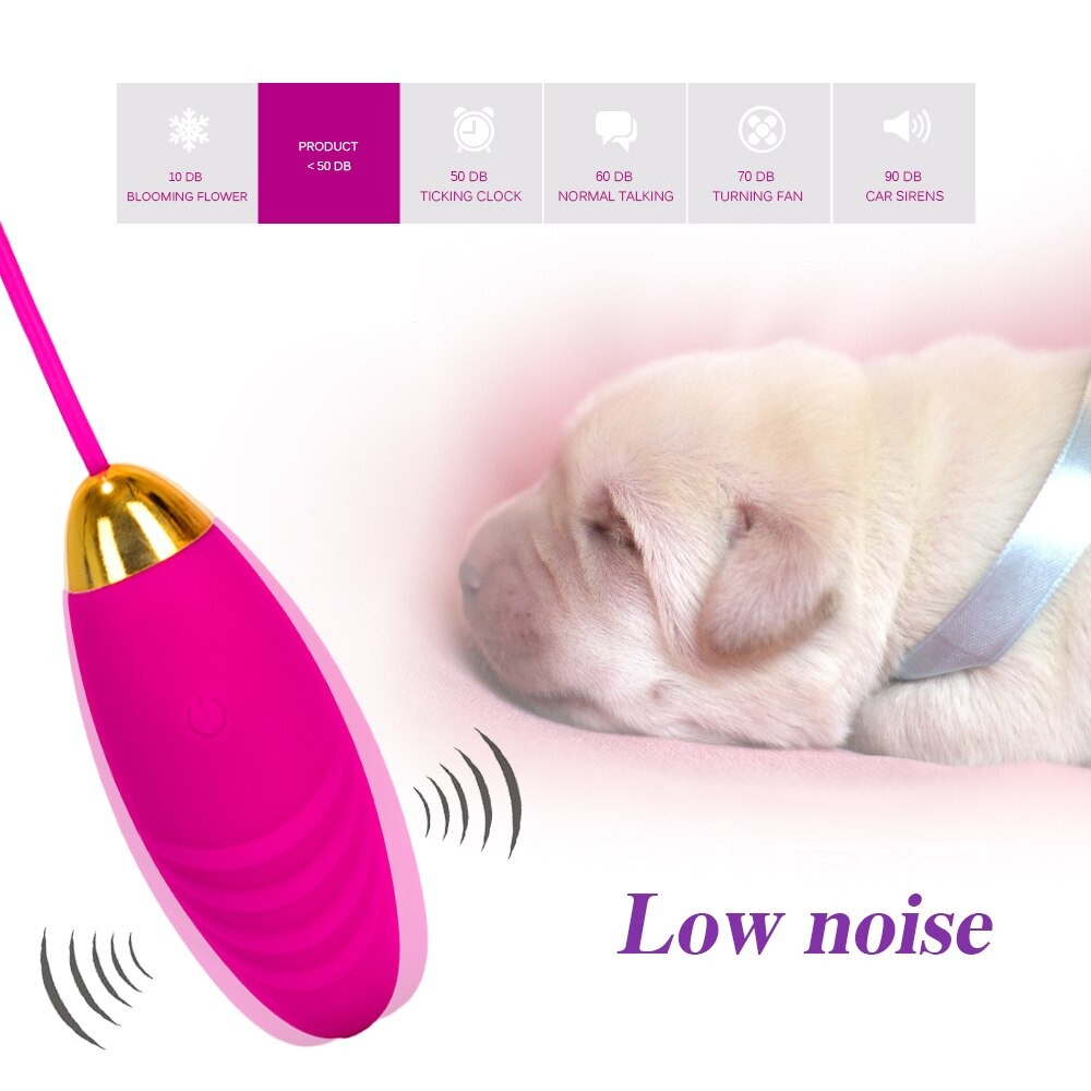 Wireless Remote Control Vibrating Bullet Egg / USB Rechargeable Adult Vibrators / Ladies Sex Toy - EVE's SECRETS
