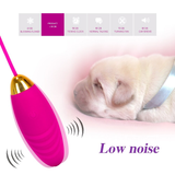 Wireless Remote Control Vibrating Bullet Egg / USB Rechargeable Adult Vibrators / Ladies Sex Toy - EVE's SECRETS