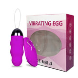 Wireless Remote Control Vibrator Sex Egg Toys for Women / Silicone Toys - EVE's SECRETS