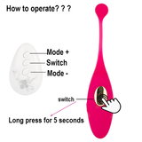 Wireless Remote Control Women's Vibrator / G-Spot Clitoris Stimulator / Sex Toy For Women - EVE's SECRETS