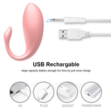 Wireless Remote Vibrating Egg for Women / Adult Clitoris Stimulation / Female Sex Toy - EVE's SECRETS